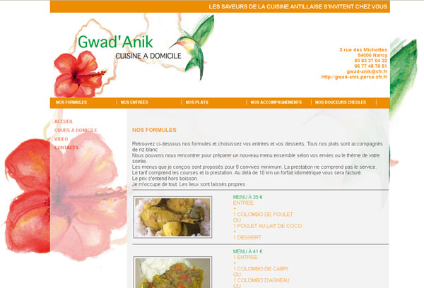 SITE WEB BLEU CERISE